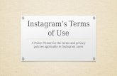 Net 303 Policy Primer: Instagram