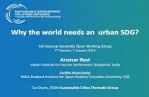 Plenary Presentation | Aromar Revi to UN General Assembly OWG on an #urbanSDG