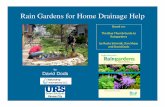 Rain gardens for home drainage help, david dods, 06 09-12