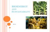 Sustain bioenergy india