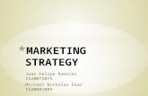 Marketing strategy presentation final