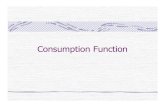 5 consumption function