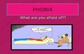 Phobia ; what are you afraid of ?