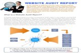 Website Audit Report Services by REM Capital Partners Media Division