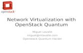 Network virtualization with open stack quantum