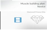 4 week muscle building plan novice