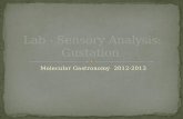 Lab   sensory analysis