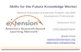 Skills for the Future Knowledge Worker