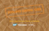Developer Survival Guide for SAP TechEd Las Vegas 2013