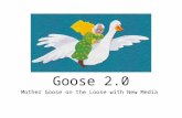 Goose 2.0 upload