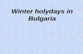 Winter Holidays In Bulgaria by David