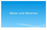 Water and minerals ch 8 and 10 11
