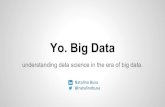 Yo. big data. understanding data science in the era of big data.