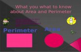 What's to know about Perimeter