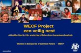 A Healthy Start in Life: protecting children from hazardous chemicals Women in Europe for a Common Future - WECF Women in Europe for a Common Future -