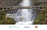 World Payments Report, 2011