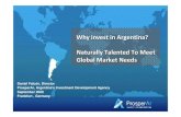 Inversiones En Argentina