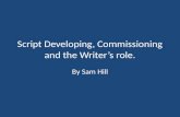 Script developing, commissioning and the writer’s role