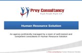 Prey Consultancy Corporate Presentation