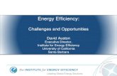 Energy Efficiency: Challenges and Opportunities