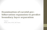 Examination of carotid pre-bifurcation expansion to predict boundary layer separation