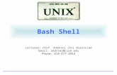 Bash shell