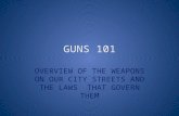 Guns 101 council presentation 2013