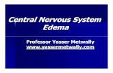 Thesis section: CNS edema