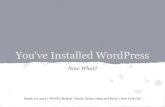 WordPress: After The Install