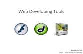 Web Developing Tools
