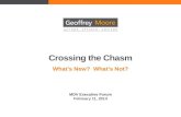 Crossing the Chasm - What's New, What's Not