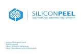 Silicon Peel Meetup #8