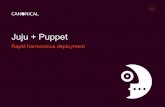 Juju + Puppet (Puppetconf 2011)