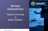 Flying and surviving in winter weather