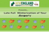 Noon Turf Care - Fall to Winter Lawn, Tree, Shrub, and Property Tips