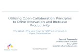 Ri Open Collaboration Innovation