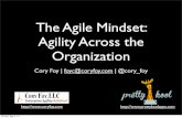 The Agile Mindset - Agility Across Your Organization