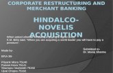 Hindalco novelis acquisition