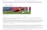 Soccer goalie drills advanced catching and diving