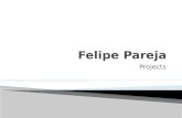 Felipe Pareja   Projects