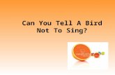 Can You Tell A Bird Not To Sing?