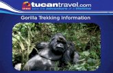 Gorilla Trekking Info