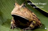 All about frogs!.ppt