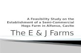 A Project Feasibility Study for the Establishment of E&J Farms