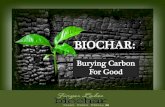 Biochar: Burying carbon for good