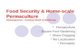 9761254 food-security-home scale-permaculture