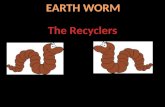 Earth worm the natural manure making machine