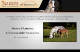 Horse Manure A Renewable Resource (Swinker)