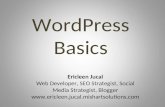 Wordpress basics1