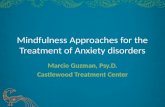 Mindfulness- Marcio Guzman, Ph.D